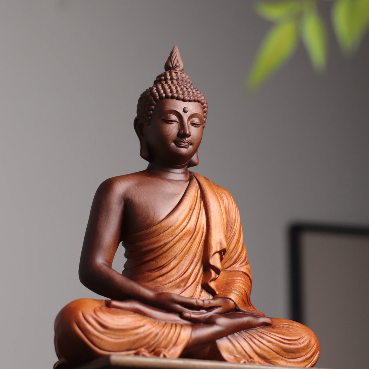 Sukhothai Buddha Statue - Padauk Wood, Meditation