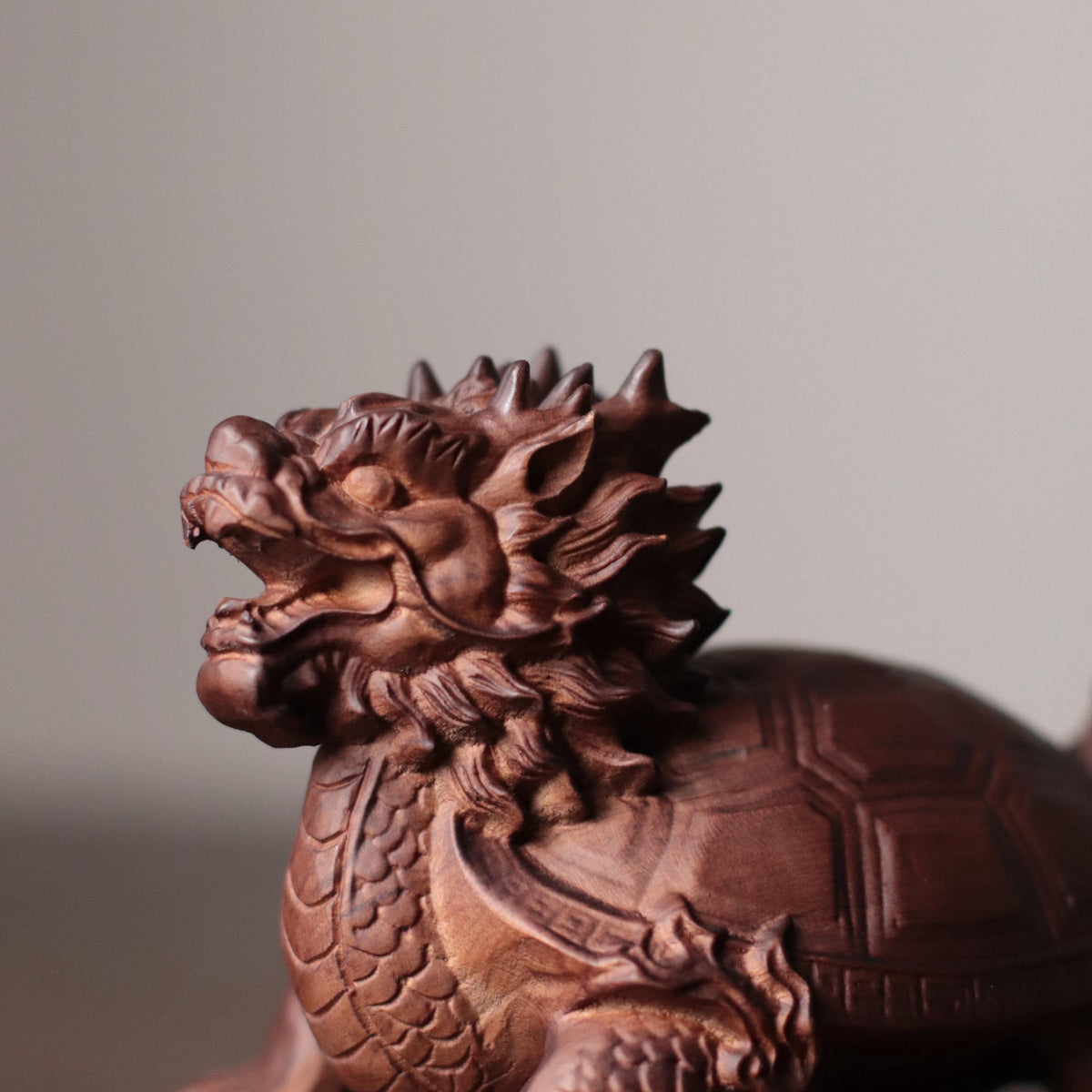 Dragon Turtle Statue - Padauk Wood, Feng Shui Longgui – additional view 2